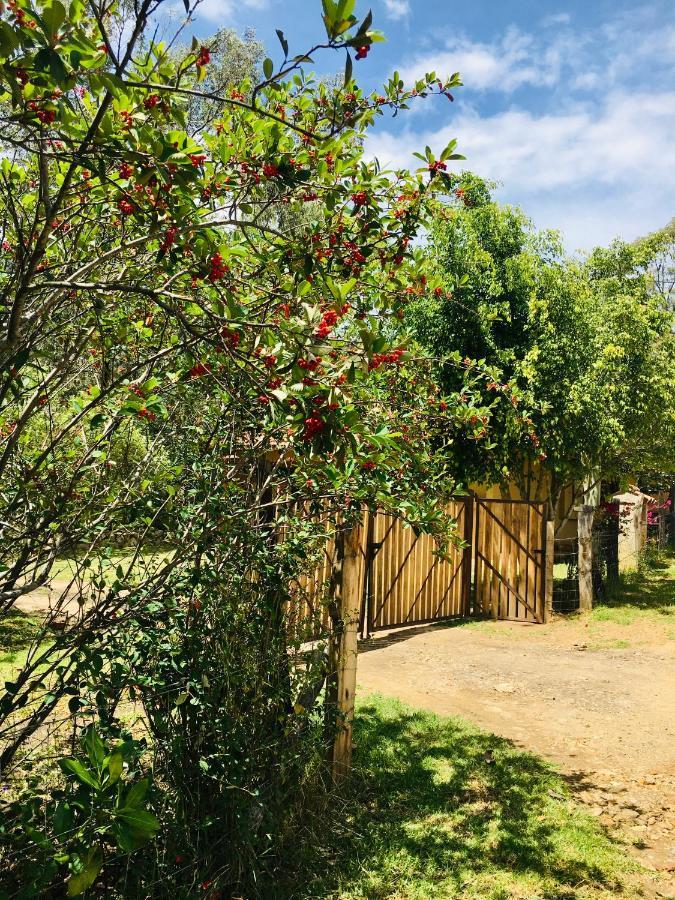 Clavellino House En Villa De Leyva - Tranquilidad Y Naturaleza En Reserva Natural Urbana! Eksteriør bilde