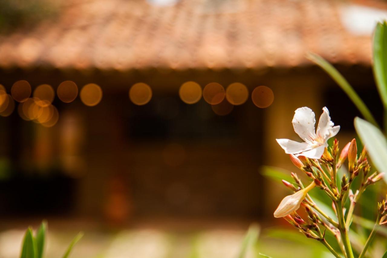 Clavellino House En Villa De Leyva - Tranquilidad Y Naturaleza En Reserva Natural Urbana! Eksteriør bilde