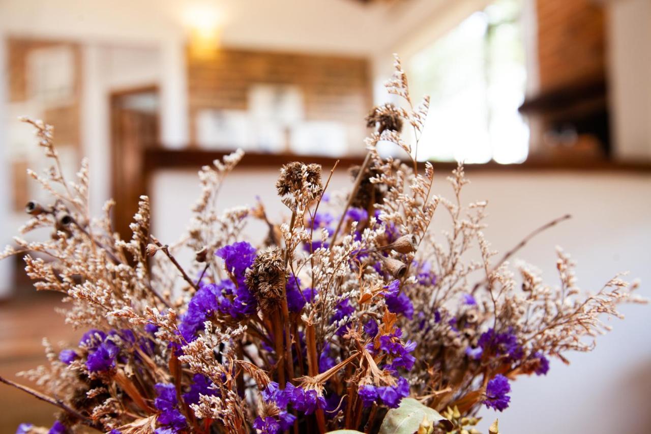 Clavellino House En Villa De Leyva - Tranquilidad Y Naturaleza En Reserva Natural Urbana! Eksteriør bilde